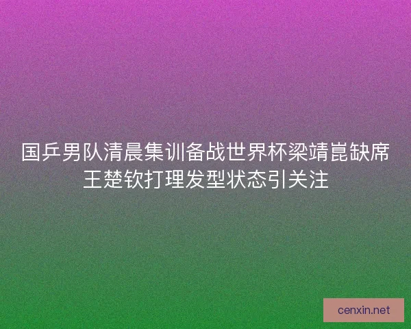 国乒男队清晨集训备战世界杯梁靖崑缺席王楚钦打理发型状态引关注